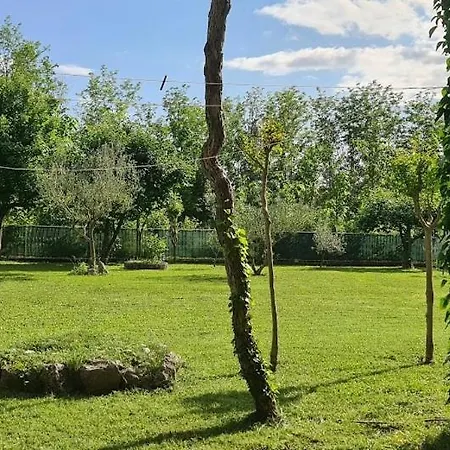 Hébergement de vacances Kuca Za Odmor Matan